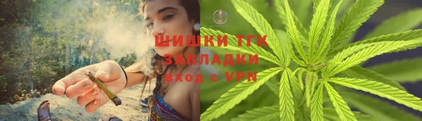 трава Тавда