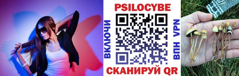 Купить где  Вышний Волочёк  Псилоцибиновые грибы MAGIC MUSHROOMS 